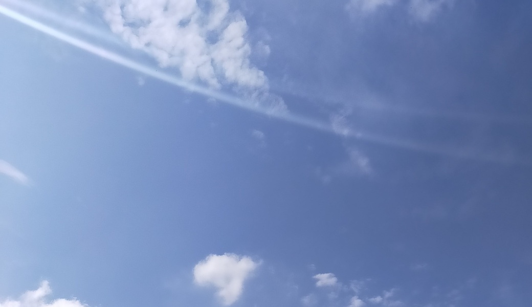 8回　多摩川ゴミ拾い アイキャッチ