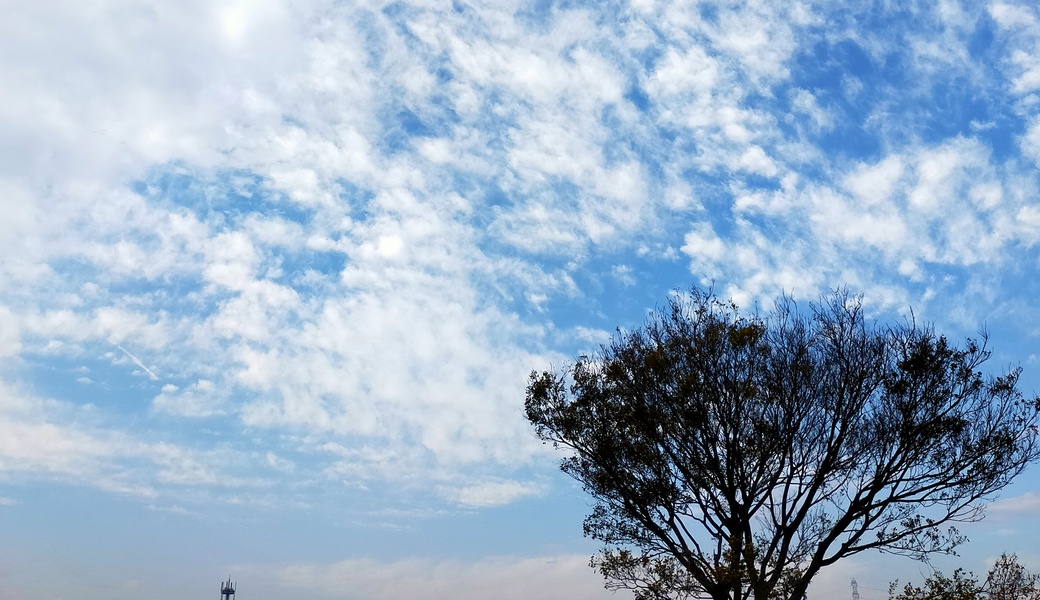 第15回　多摩川ごみ拾い アイキャッチ