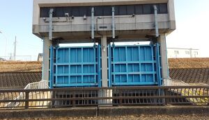 第18回　多摩川ごみ拾い アイキャッチ