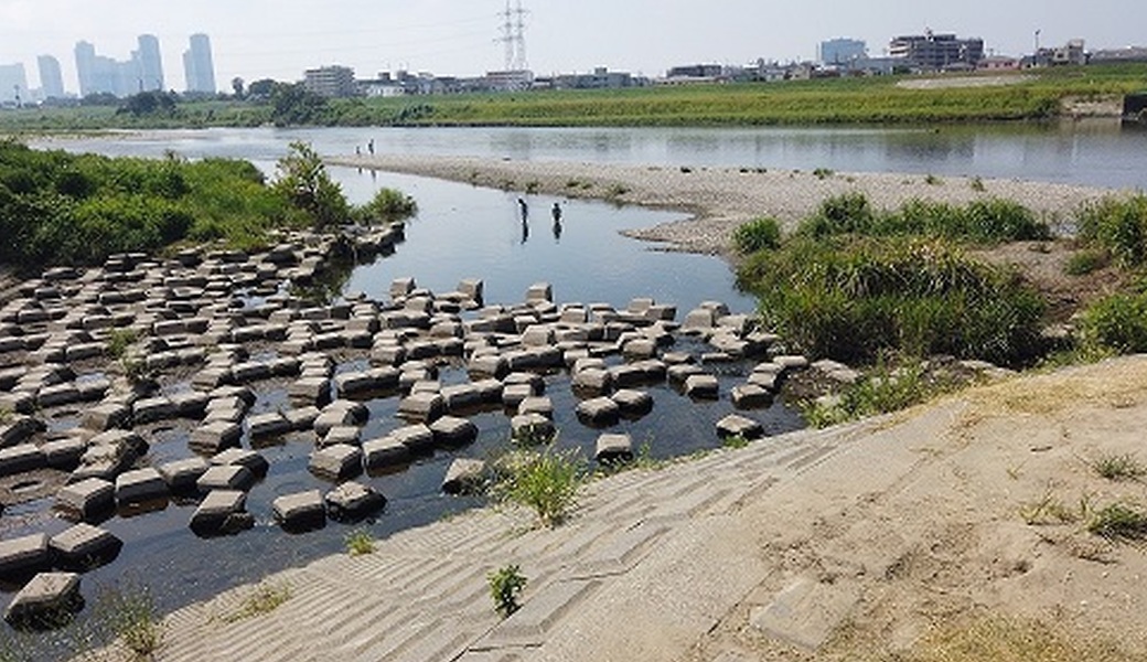 3回目　多摩川ゴミ拾い レポート