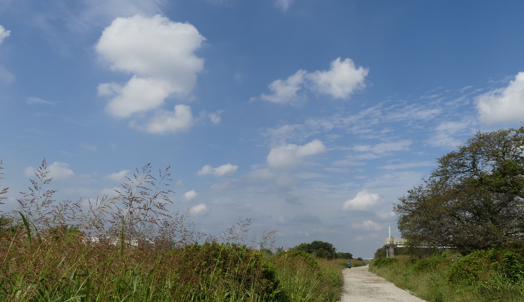 8回　多摩川ゴミ拾い レポート