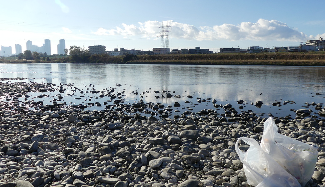 14回　多摩川ごみ拾い レポート