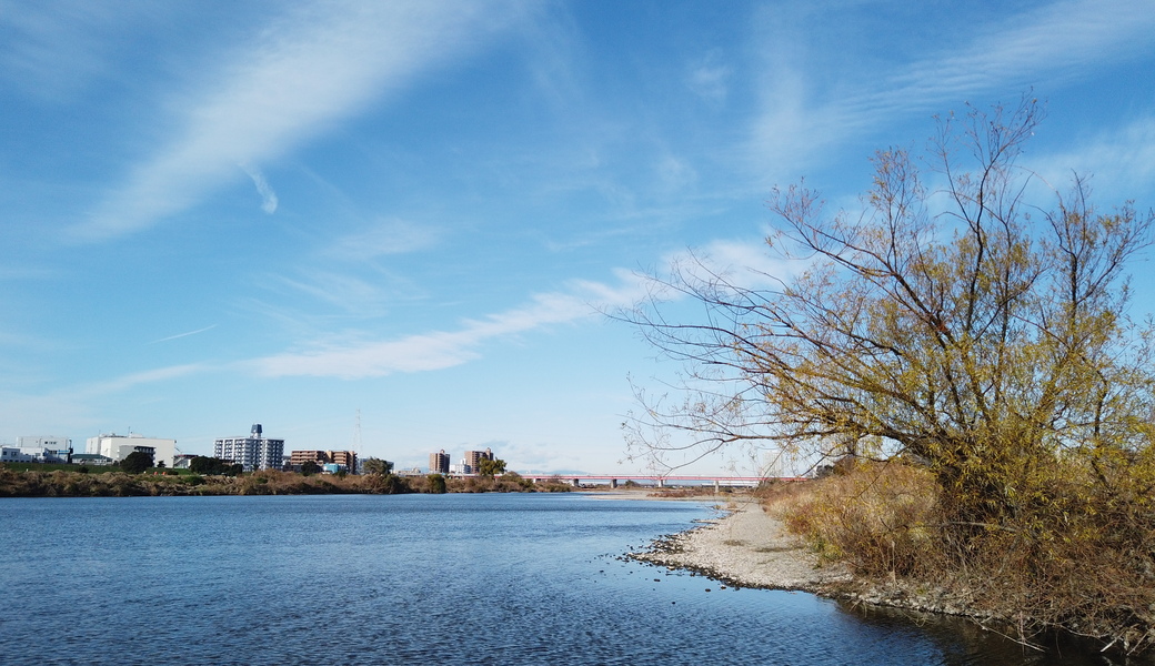 第16回　多摩川ごみ拾い レポート