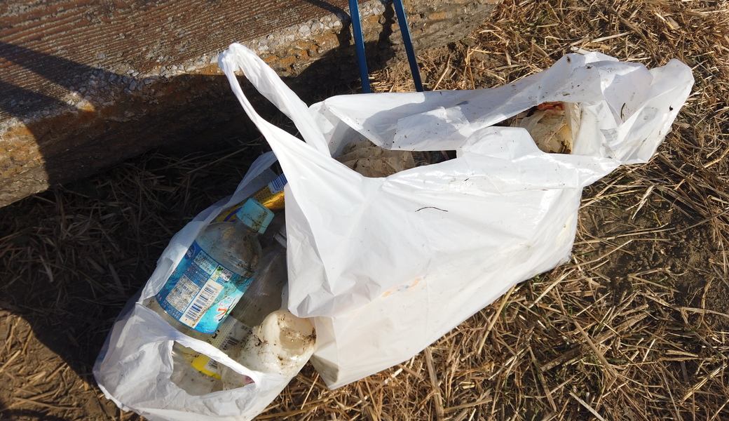 第18回　多摩川ごみ拾い レポート