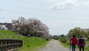 第26回　多摩川ごみ拾い アイキャッチ