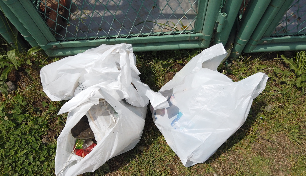 第29回　多摩川ゴミ拾い レポート