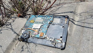 第32回　多摩川ごみ拾い アイキャッチ