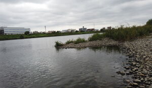 第35回　ごみ拾い アイキャッチ