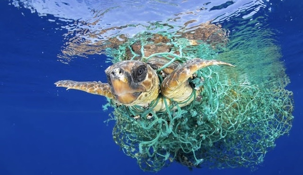 #rugbeachclean（10/23） アイキャッチ