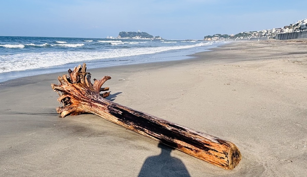 shibazo.r134 レポート