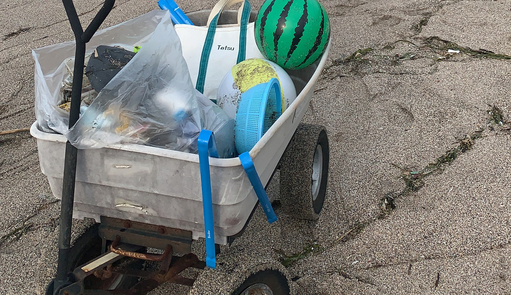 鎌高前海岸#beach clean② レポート