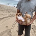 定時上がりでポケごみ プロフィール