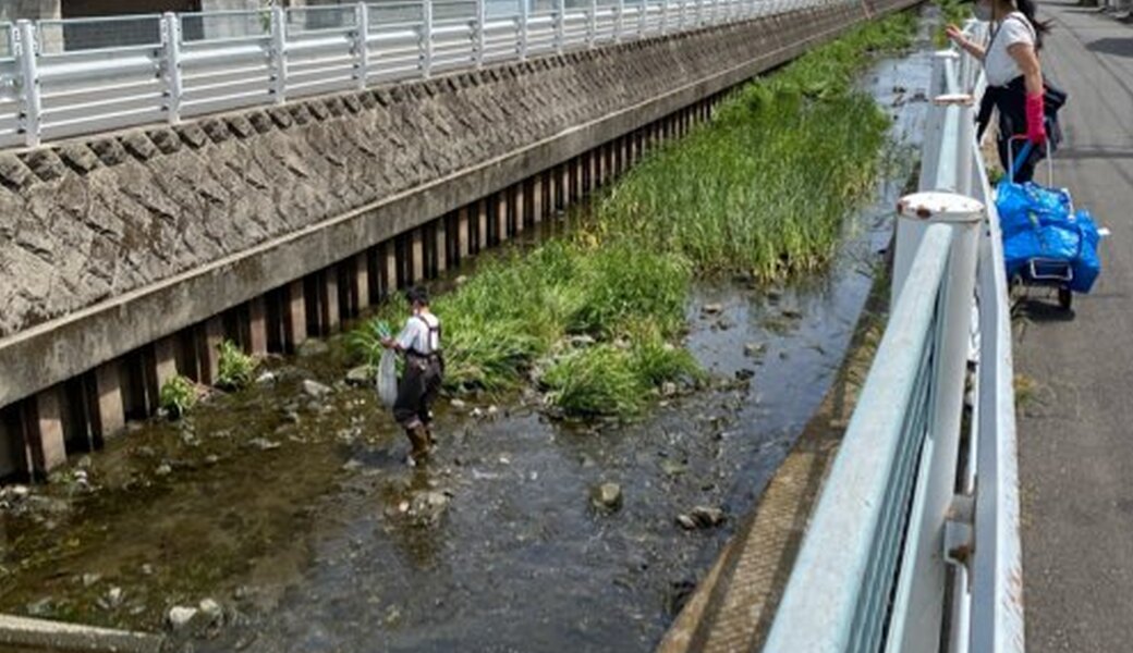 目久尻川クリーンアップwith蛍を守る会 アイキャッチ