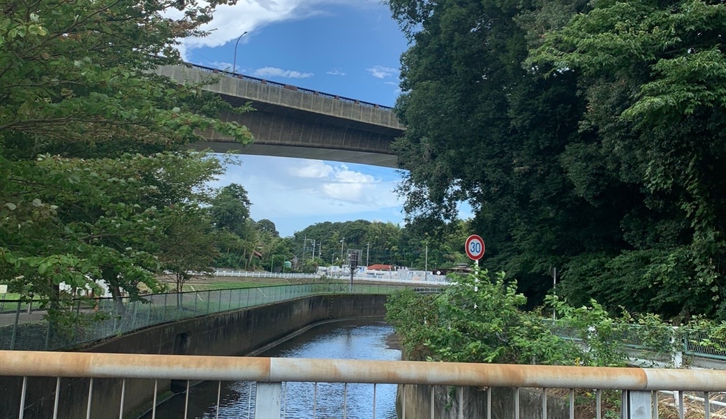 【2025.9.15mon祝】栗原遊水地ビオトープ付近&周辺川沿い、道路クリーンアップ アイキャッチ