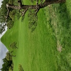 身近な環境を守ろうよ～ポケごみ プロフィール