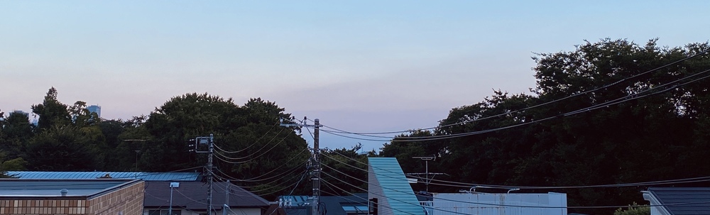 ポケごみ　とどろきごみ拾い カバー