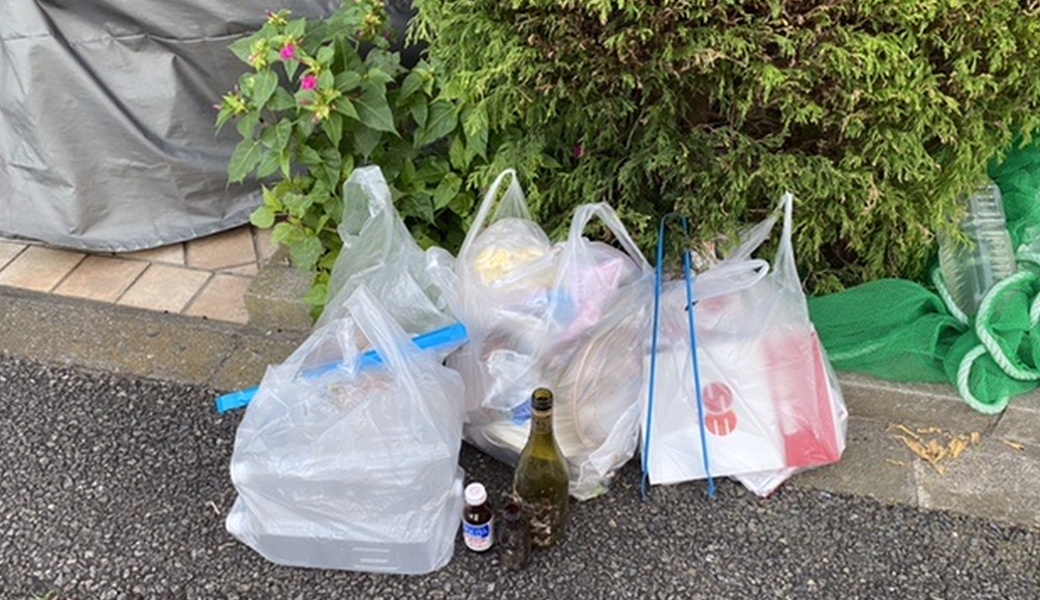 とどろきごみ拾い レポート