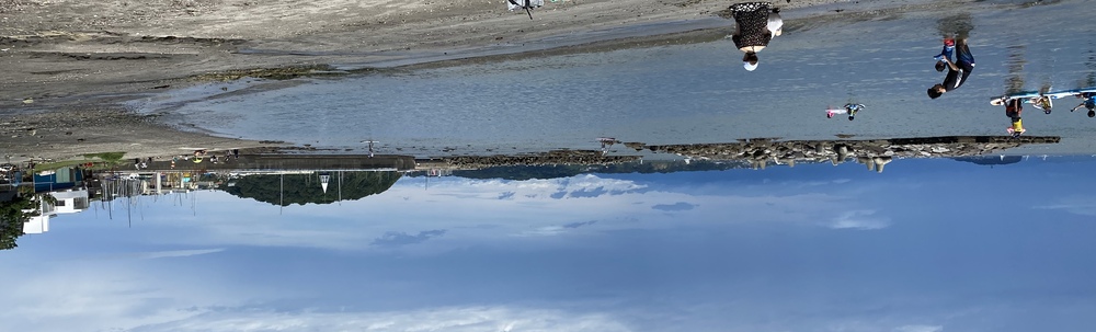 ポケごみ　まると楽しい仲間たち カバー