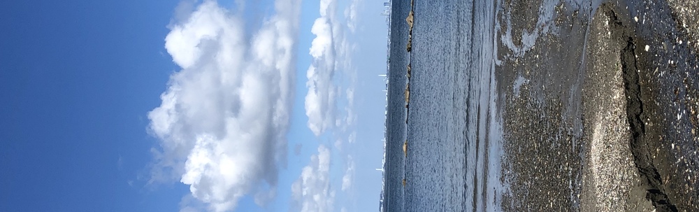 走水アソボラ カバー