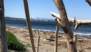 走水アソボラ アイキャッチ