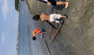 走水アソボラ走水お花見あり アイキャッチ