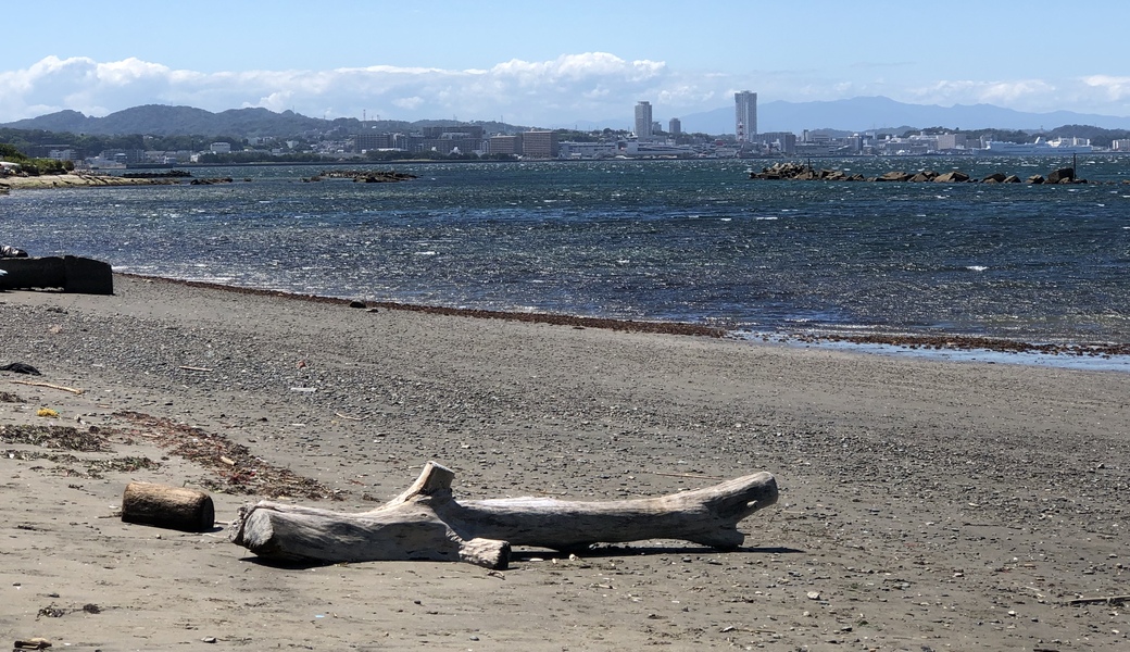 走水アソボラ アイキャッチ