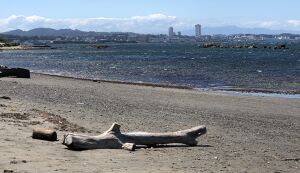走水アソボラ アイキャッチ