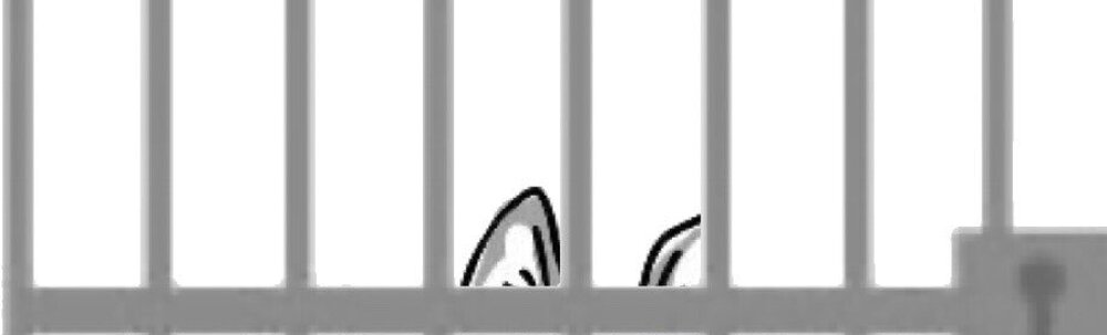 ポケごみチームクロスナ カバー