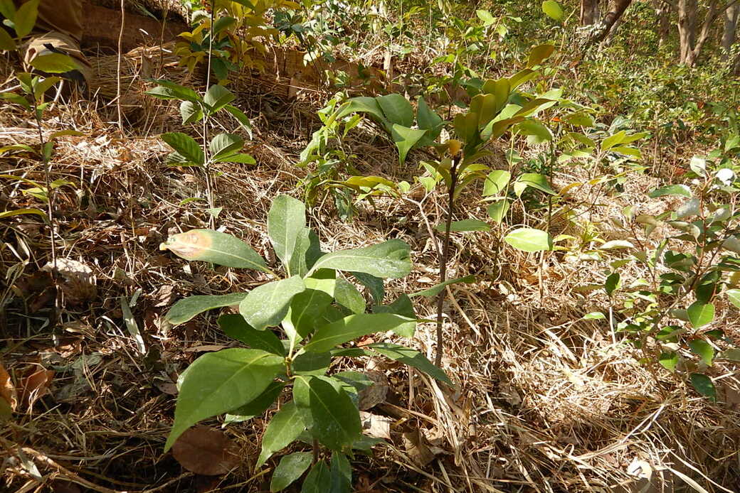 2020年、皆さまありがとうございました。 アイキャッチ