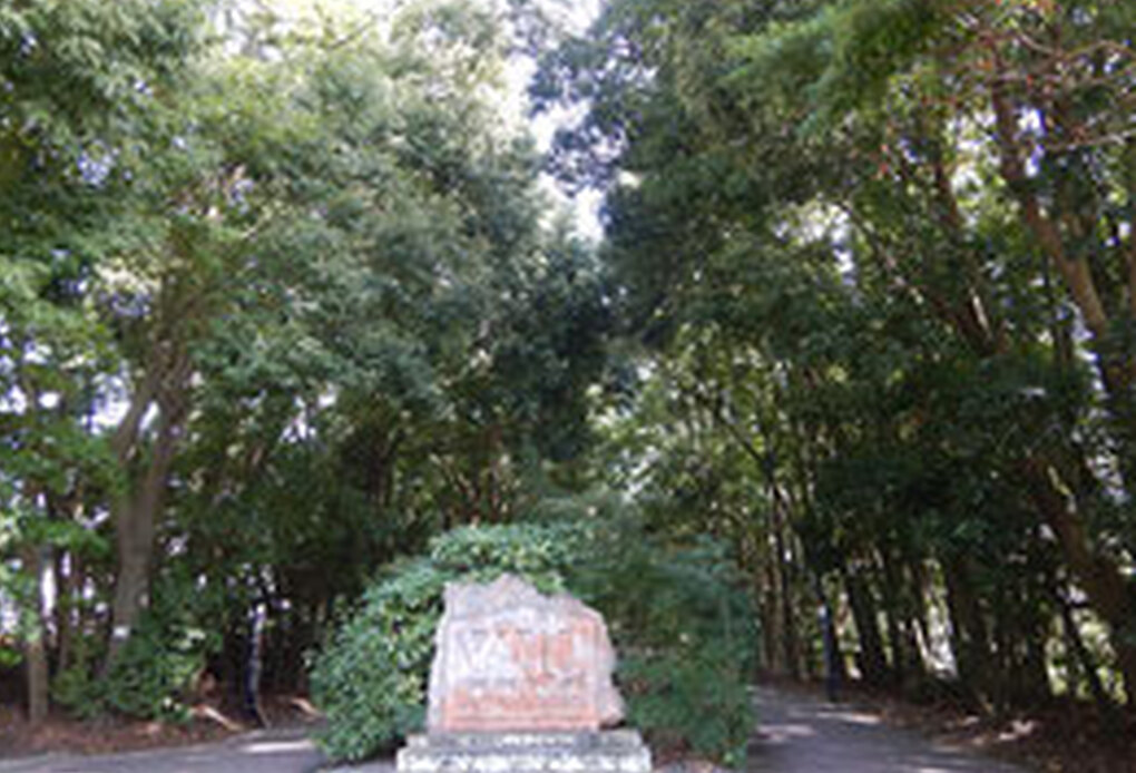 森盛りダイアリー　2021年3月1日　月曜日 アイキャッチ