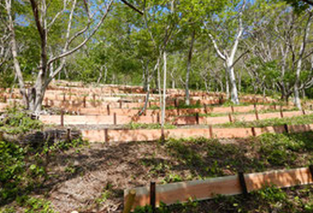 森盛りダイアリー　2021年4月20日　火曜日 アイキャッチ