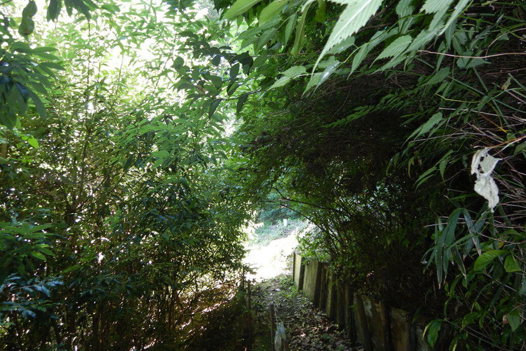 〜横浜国立大学との連携による県西の森づくり!小田原編〜 アイキャッチ