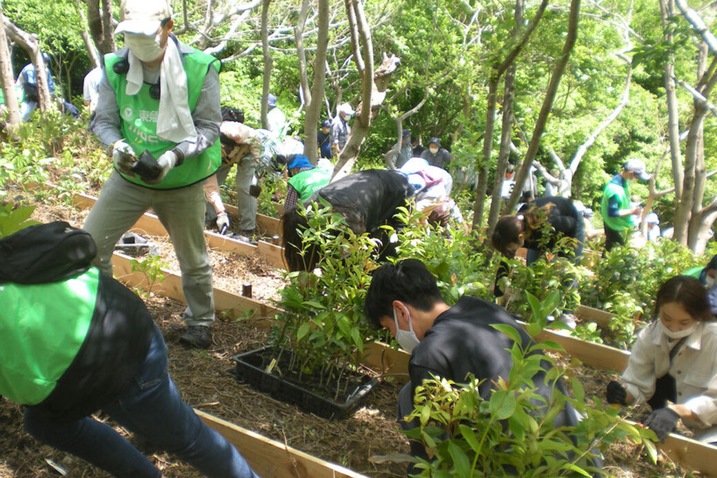 〜【お知らせ】第21回湘南国際村めぐりの森植樹祭について〜 アイキャッチ