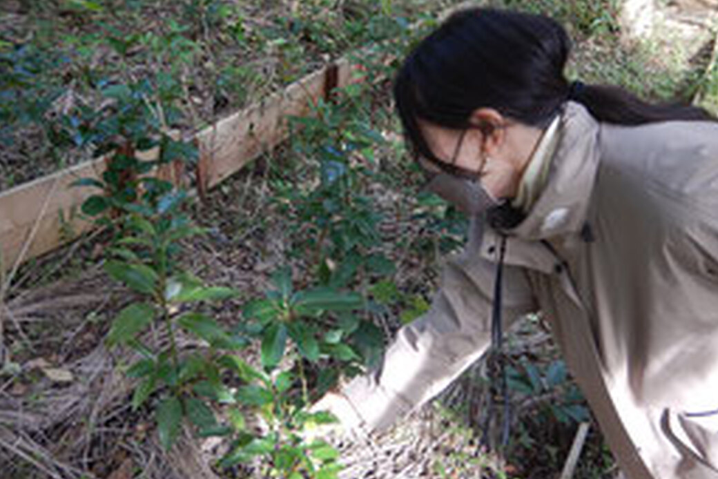 〜植樹祭の撮影に向けて＆資材の準備〜 アイキャッチ
