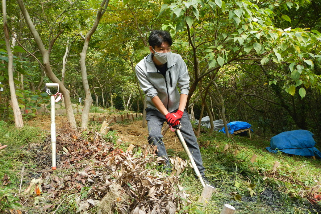 〜天気に恵まれた１日・花粉症と森の歴史〜 アイキャッチ