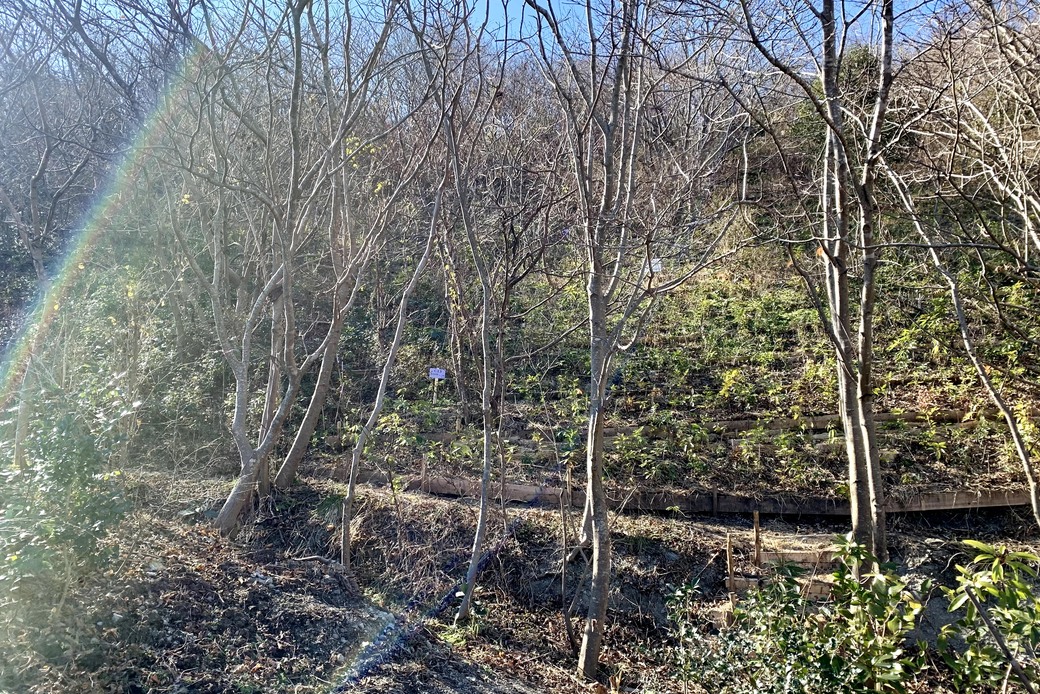 森盛りダイアリー　1月30日　日曜日 アイキャッチ