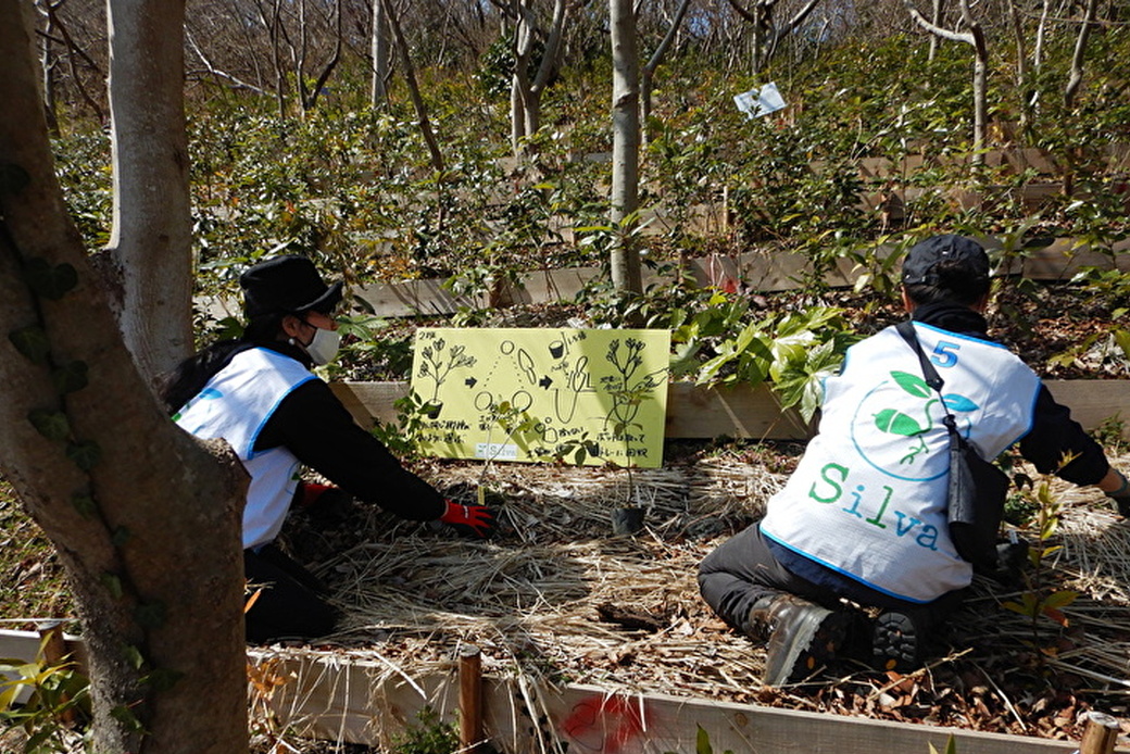 リーダー育成！森林再生指導員研修の実修編！！ アイキャッチ