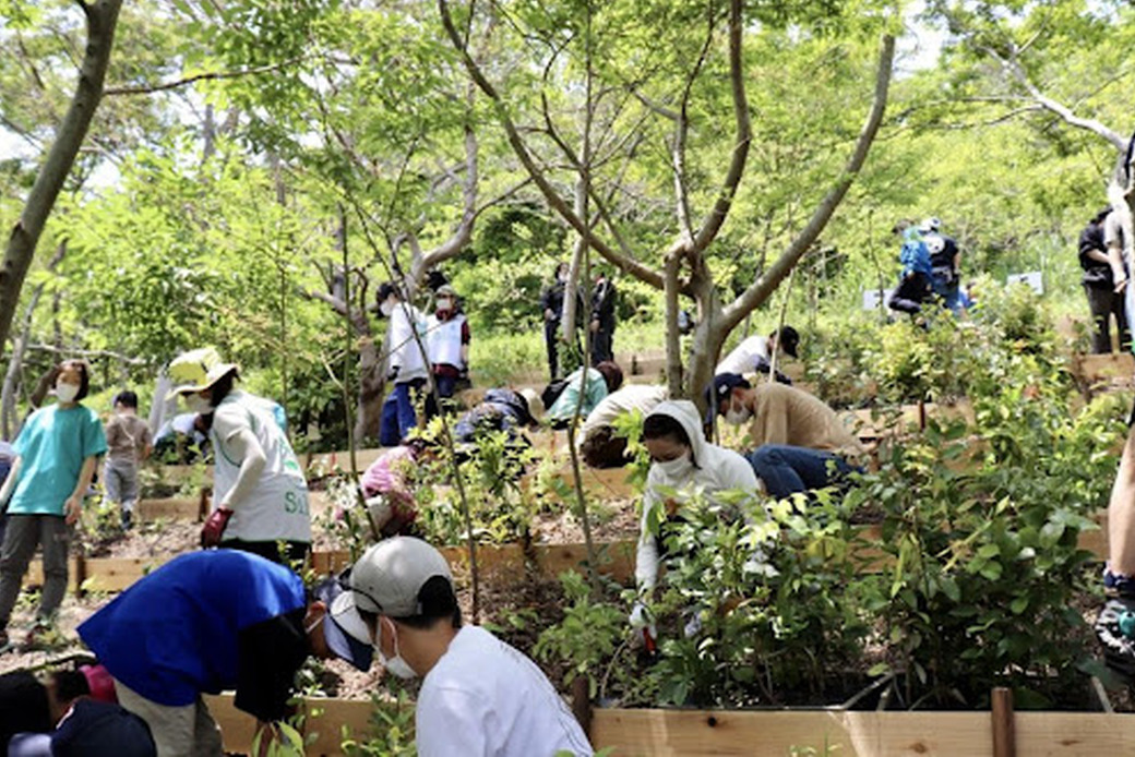 ウェブマガジン『Spring Step』へインタビュー記事が掲載されました アイキャッチ