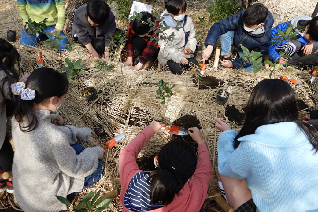 葉山小学校の六年生4クラスによる卒業記念植樹祭を開催しました！！ アイキャッチ