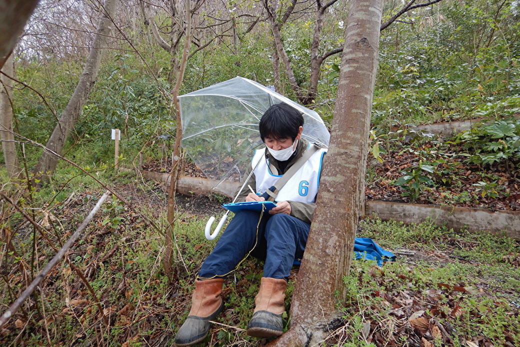 ～【お知らせ】秋の森林再生指導員研修の受講生を募集します。～ アイキャッチ