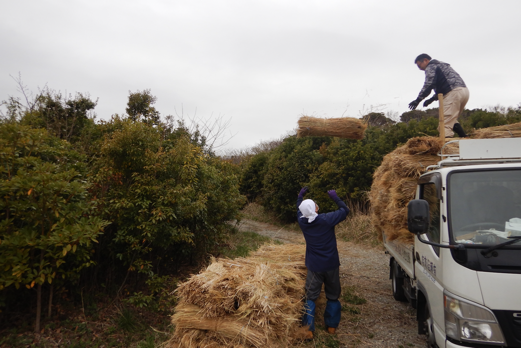 森盛りダイアリー　3月29日　火曜日 アイキャッチ
