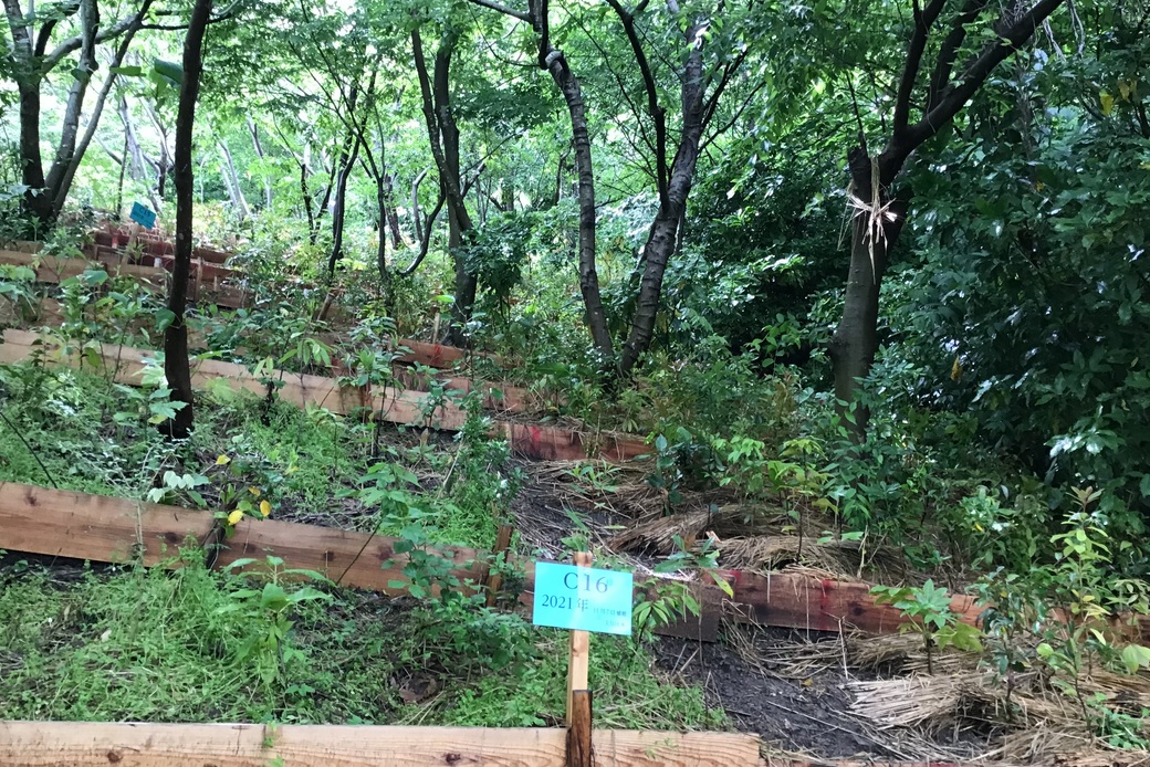 森盛りダイアリー　5月14日　土曜日 アイキャッチ