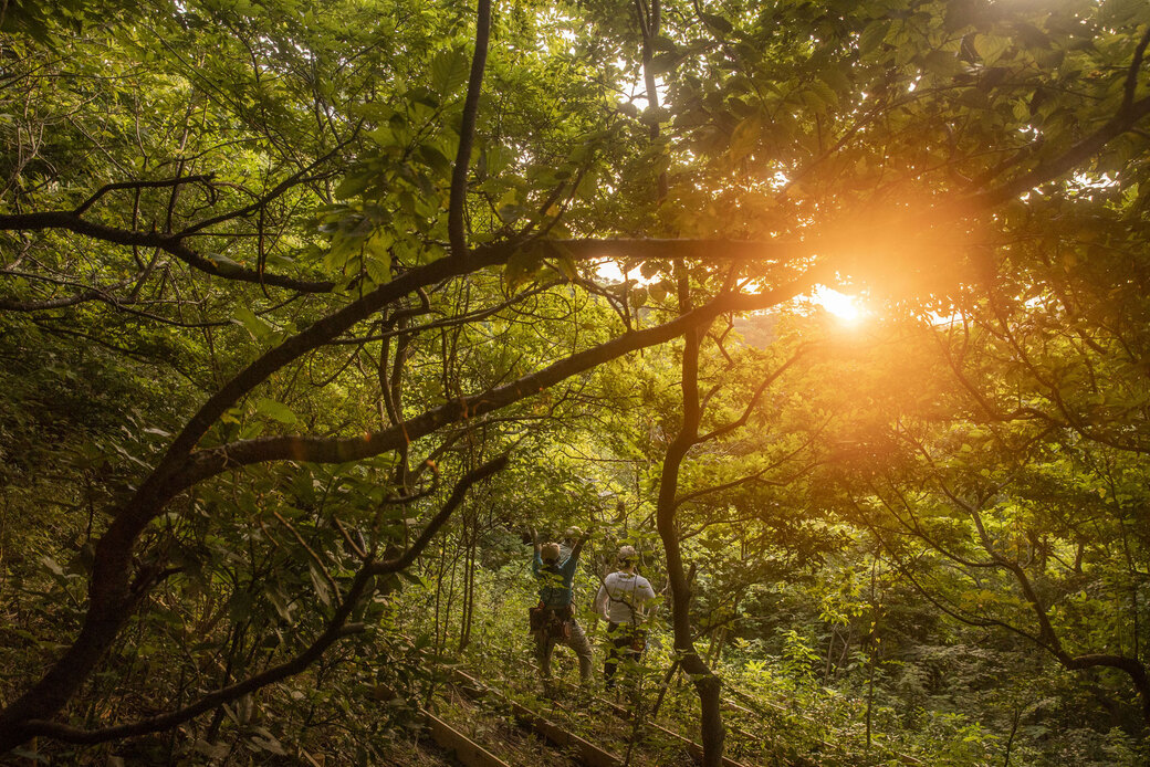 森盛りダイアリー 7月24日 日曜日 アイキャッチ