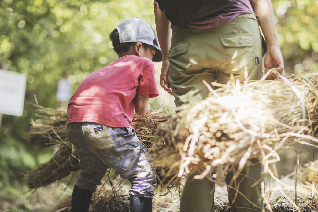 第23回 湘南国際村めぐりの森植樹祭.参加者募集のご案内!! アイキャッチ