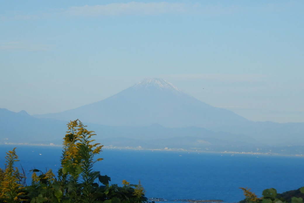 森盛りダイアリー アイキャッチ