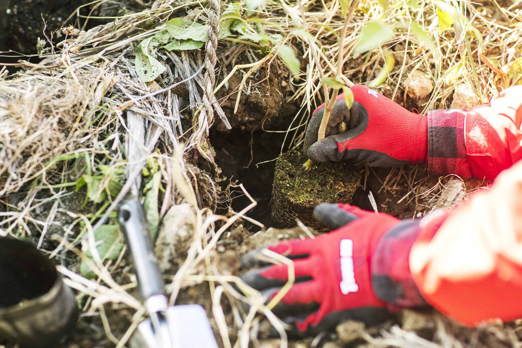 三機工業様より湘南国際村めぐりの森事業へのご寄付決定! アイキャッチ