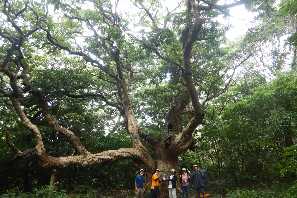 スキルアップ!森林再生指導員と育苗研修を実施しました!! アイキャッチ