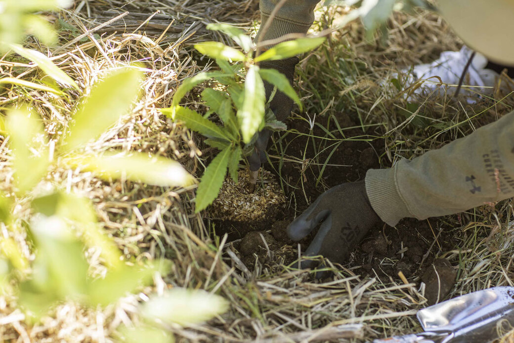 ｔｖｋ公開YouTubeチャンネルと各社HPへ第23回湘南国際村めぐりの森植樹祭の様子が配信・掲載されました！！ アイキャッチ