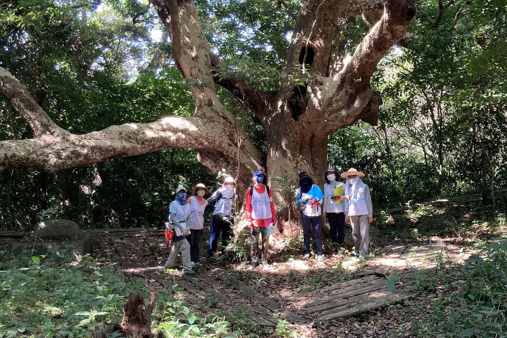 未来の森を予測する植生シナリオ!森林再生指導員研修 植生調査と植物観察 アイキャッチ