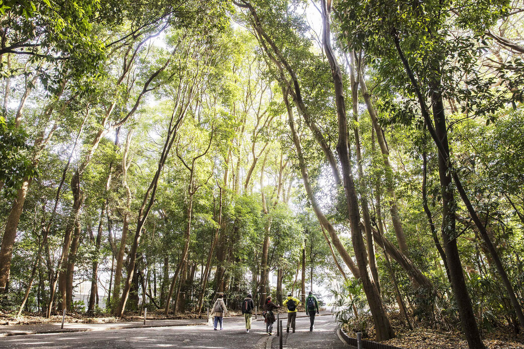 年始めは、横浜国立大学で未来の大木のスカウトでスタート!! アイキャッチ